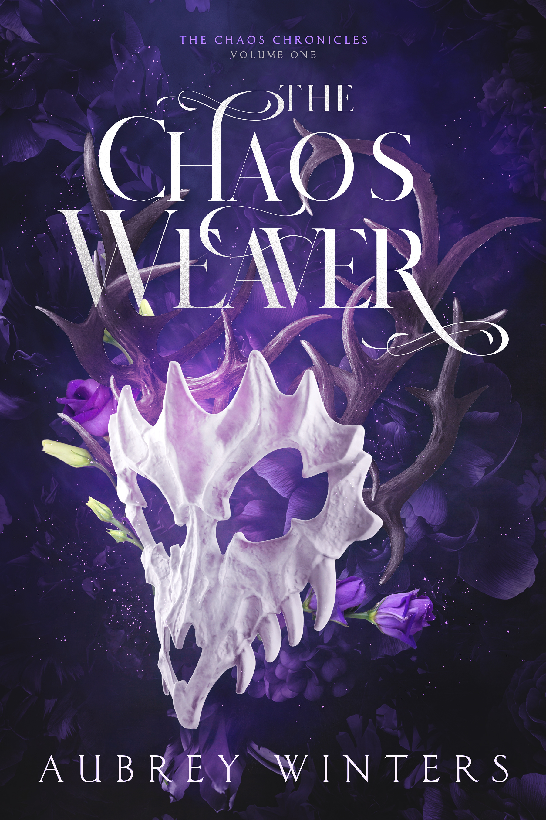The Chaos Weaver