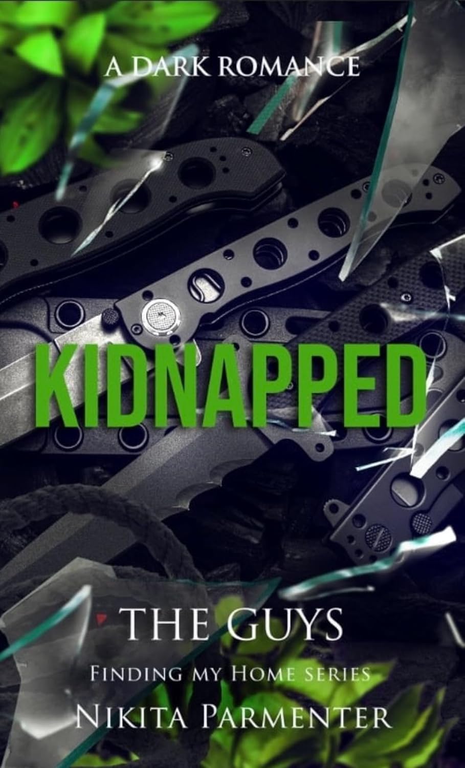 Kidnapped book cover