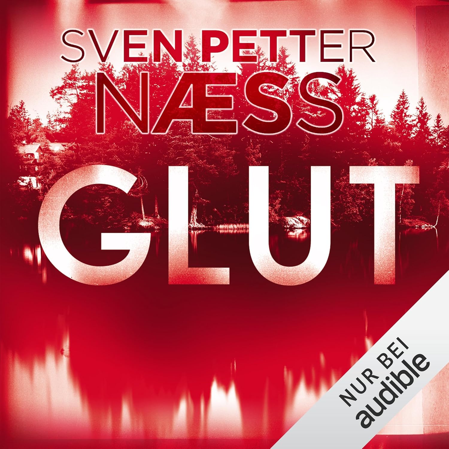Glut (Team Oslo, 1) by Sven Petter Næss Goodreads