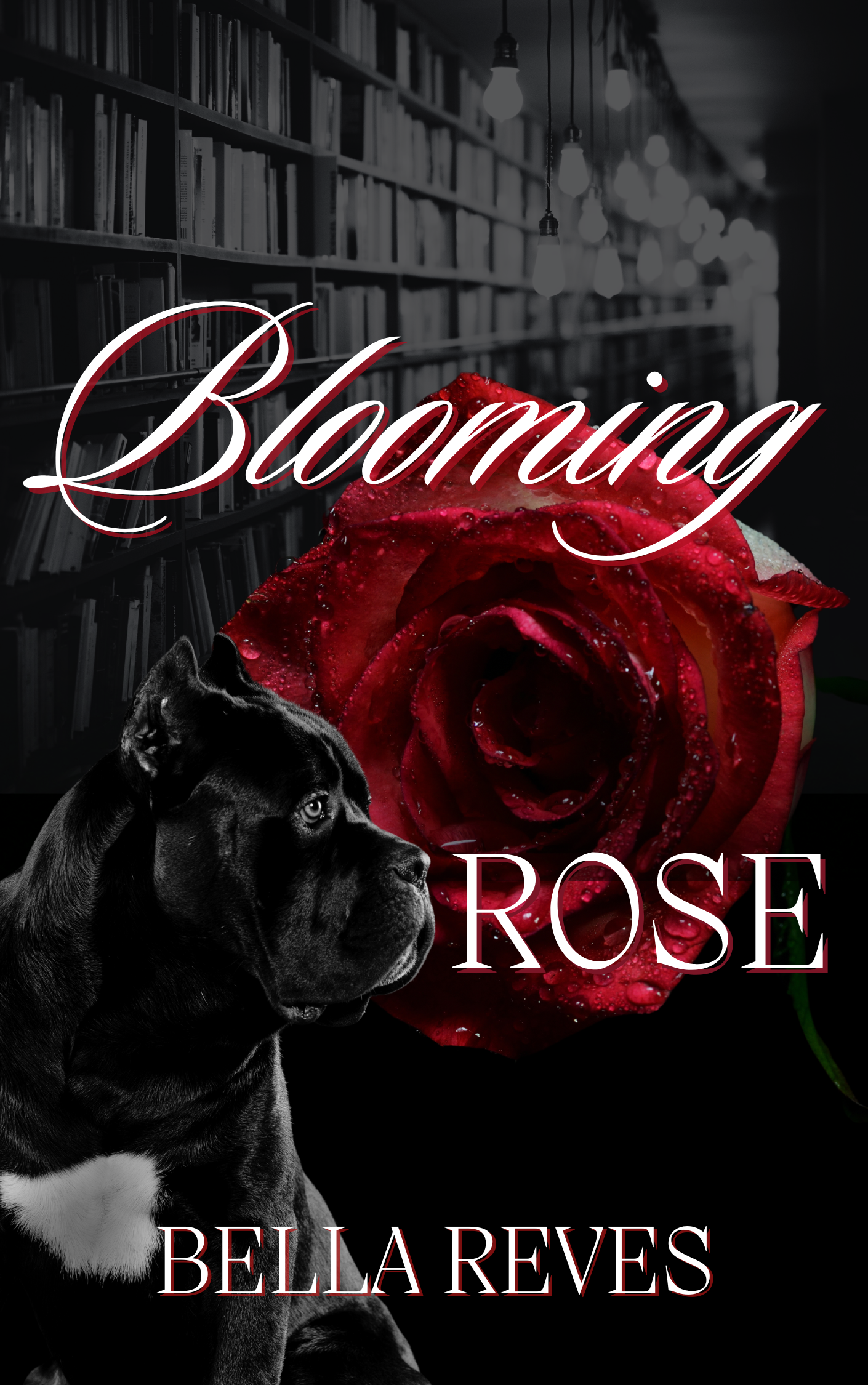 Blooming Rose