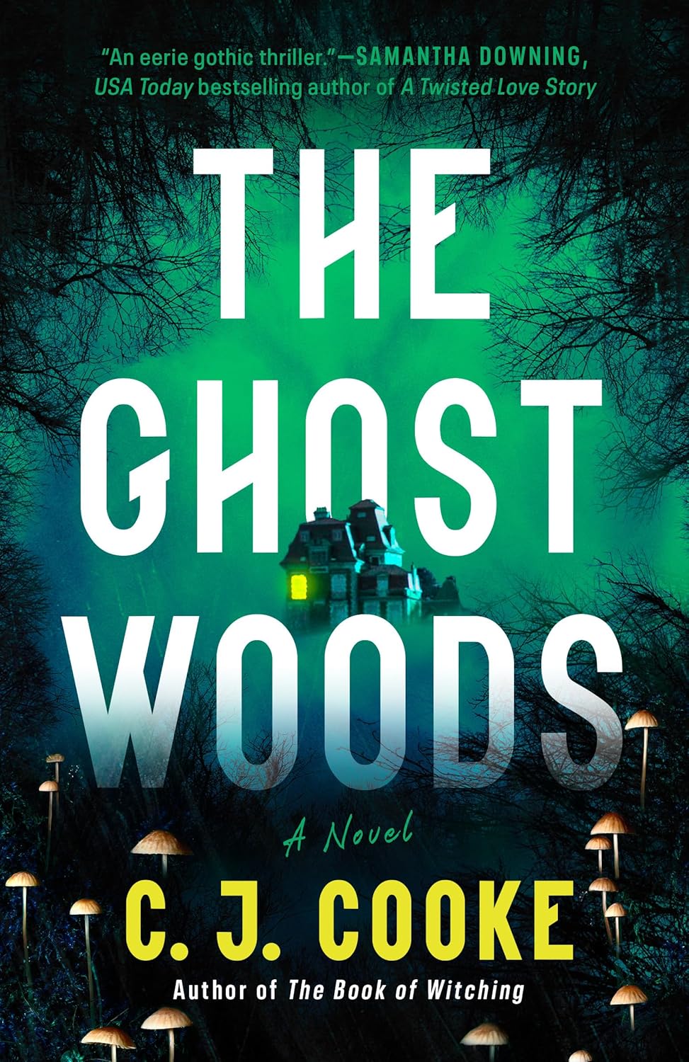 The Ghost Woods
