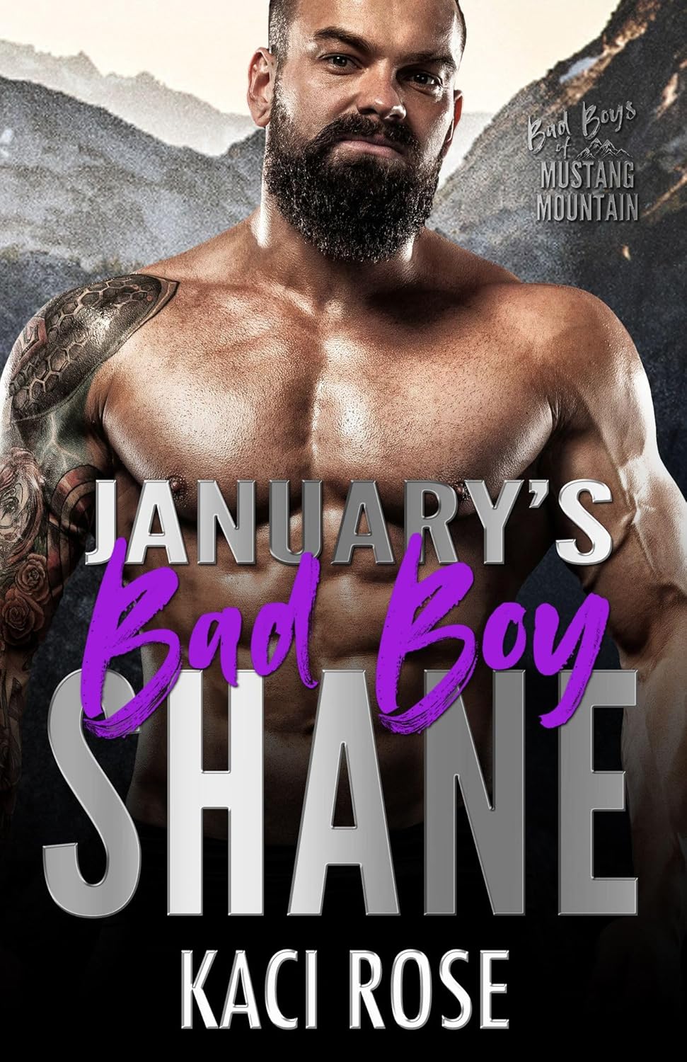 Bad Boys of Mustang Mountain book cover 1