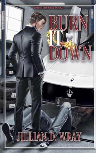 Jillian D Wray Bring the Heat #1 - Burn it Down