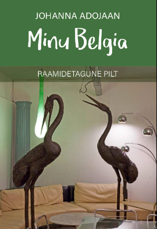 Minu Belgia. Raamidetagune pilt