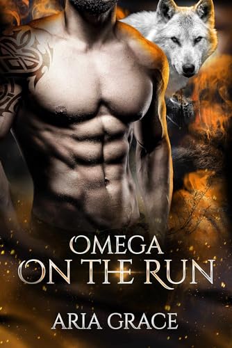 Omega On The Run book cover