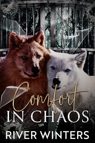 Comfort in Chaos