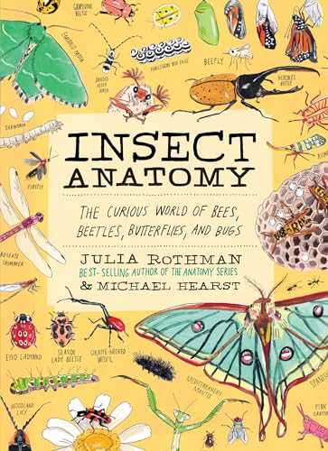 Insect Anatomy: The Curious World of Bees, Beetles, Butterflies, and Bugs