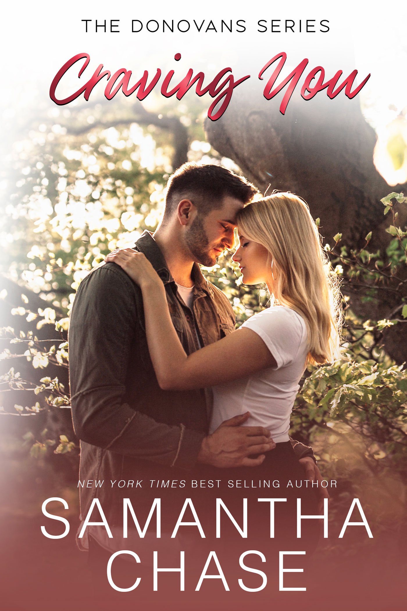 Craving You book cover