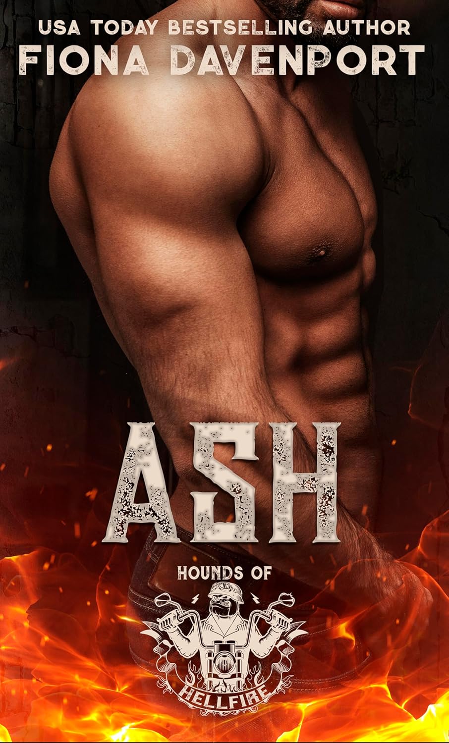 Ash book cover