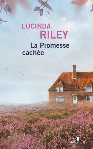 La Promesse cachée book cover