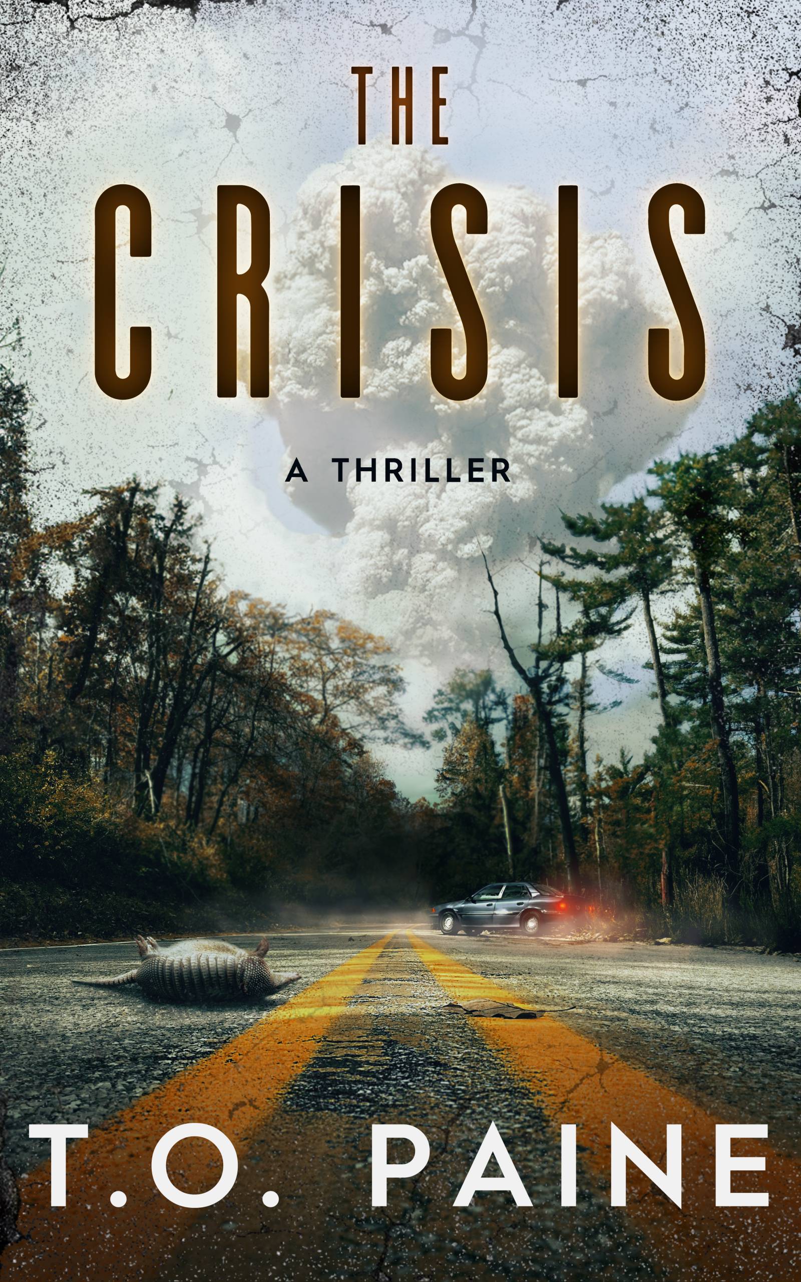 The Crisis