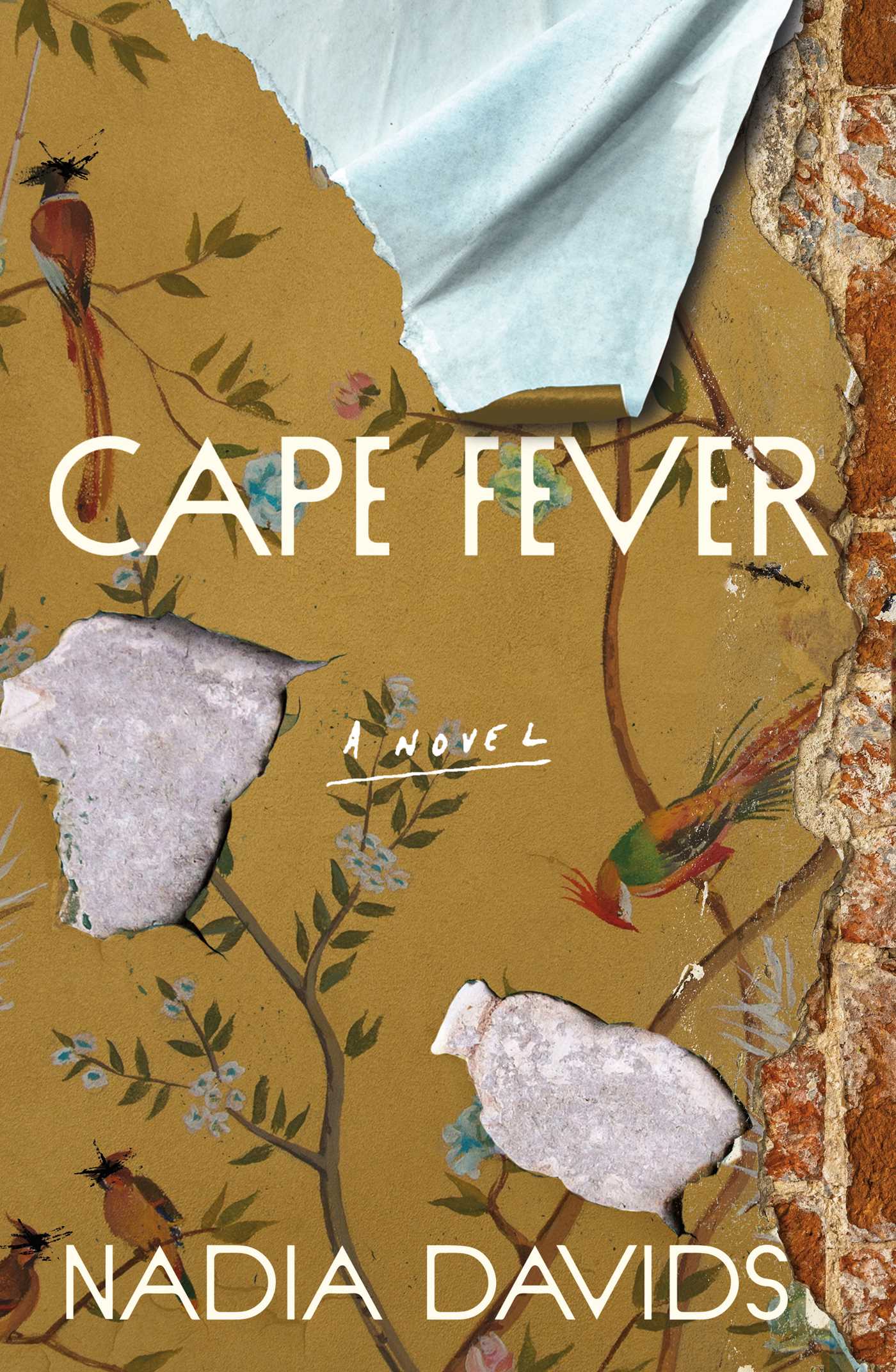 Cape Fever: A Novel