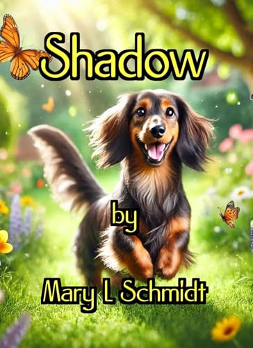 Shadow