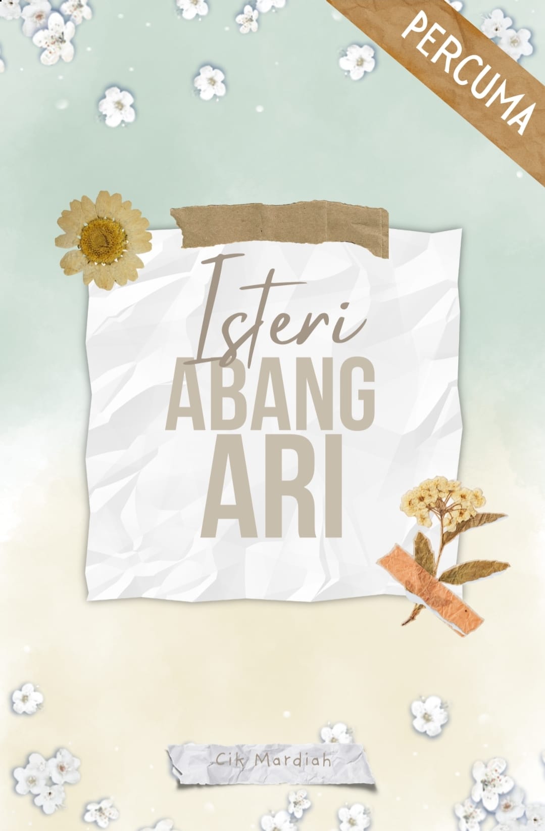 Isteri Abang Ari