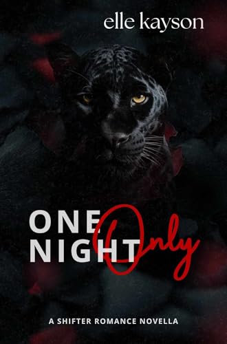 One Night Only book cover