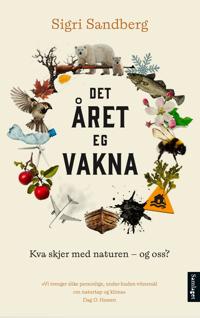 Det året eg vakna: Kva skjer med naturen – og oss?