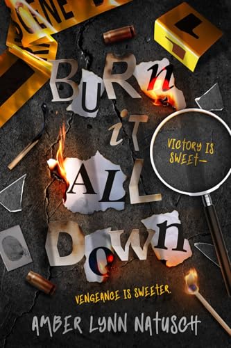 Burn It All Down book cover