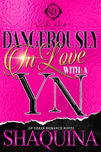 Dangerously In Love With A YN book cover