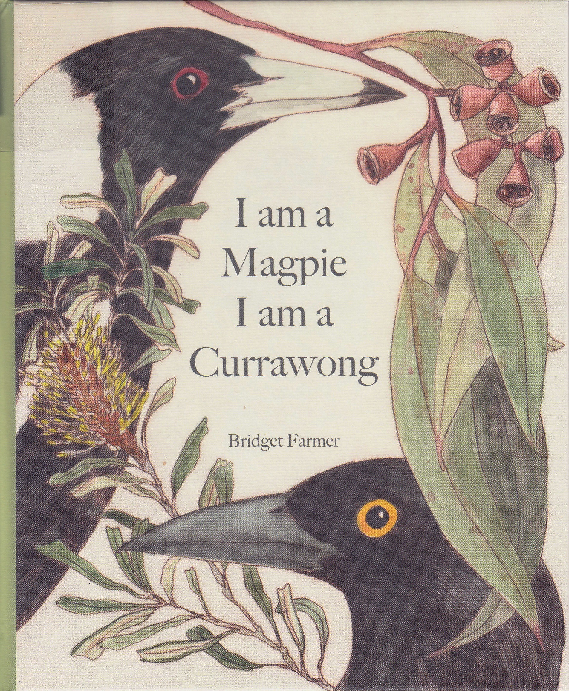 I am a Magpie I am a Currawong