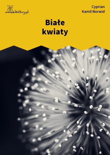 Białe kwiaty book cover