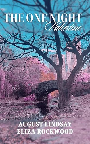 The One Night Valentine: An Enemies-to-Lovers, Opposites Attract, Short Romantic Comedy