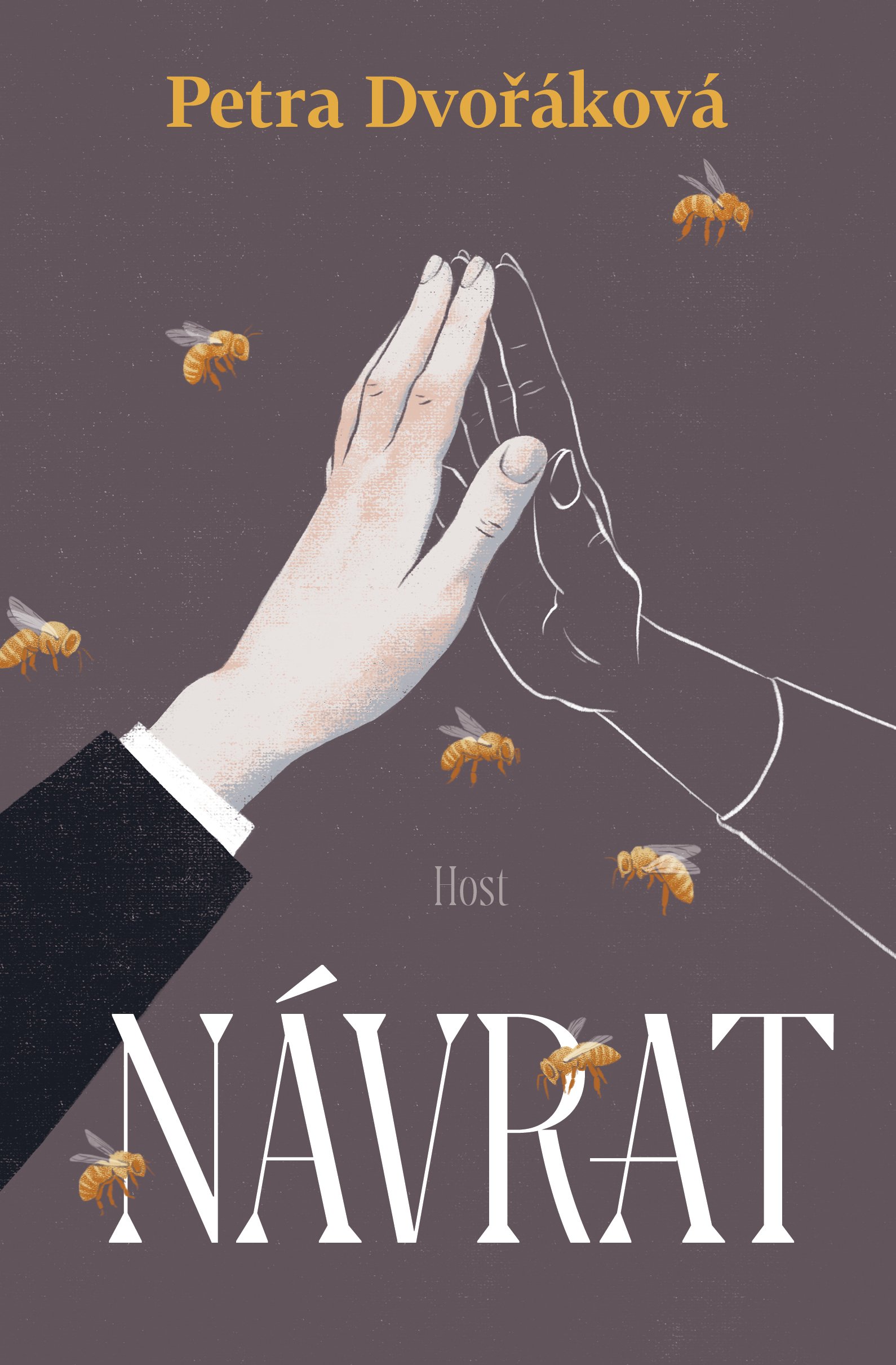 Návrat book cover