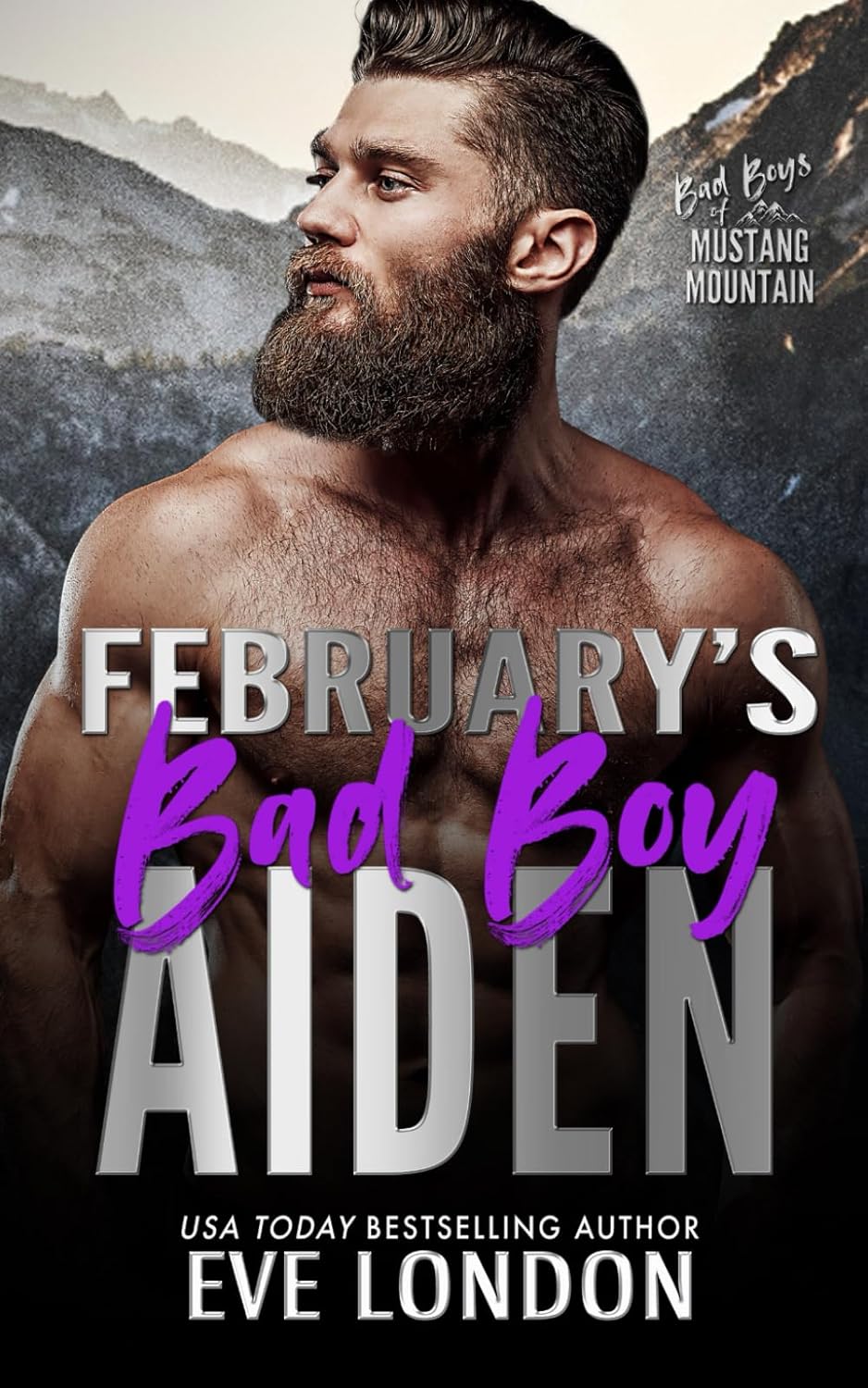 Bad Boys of Mustang Mountain book cover 2