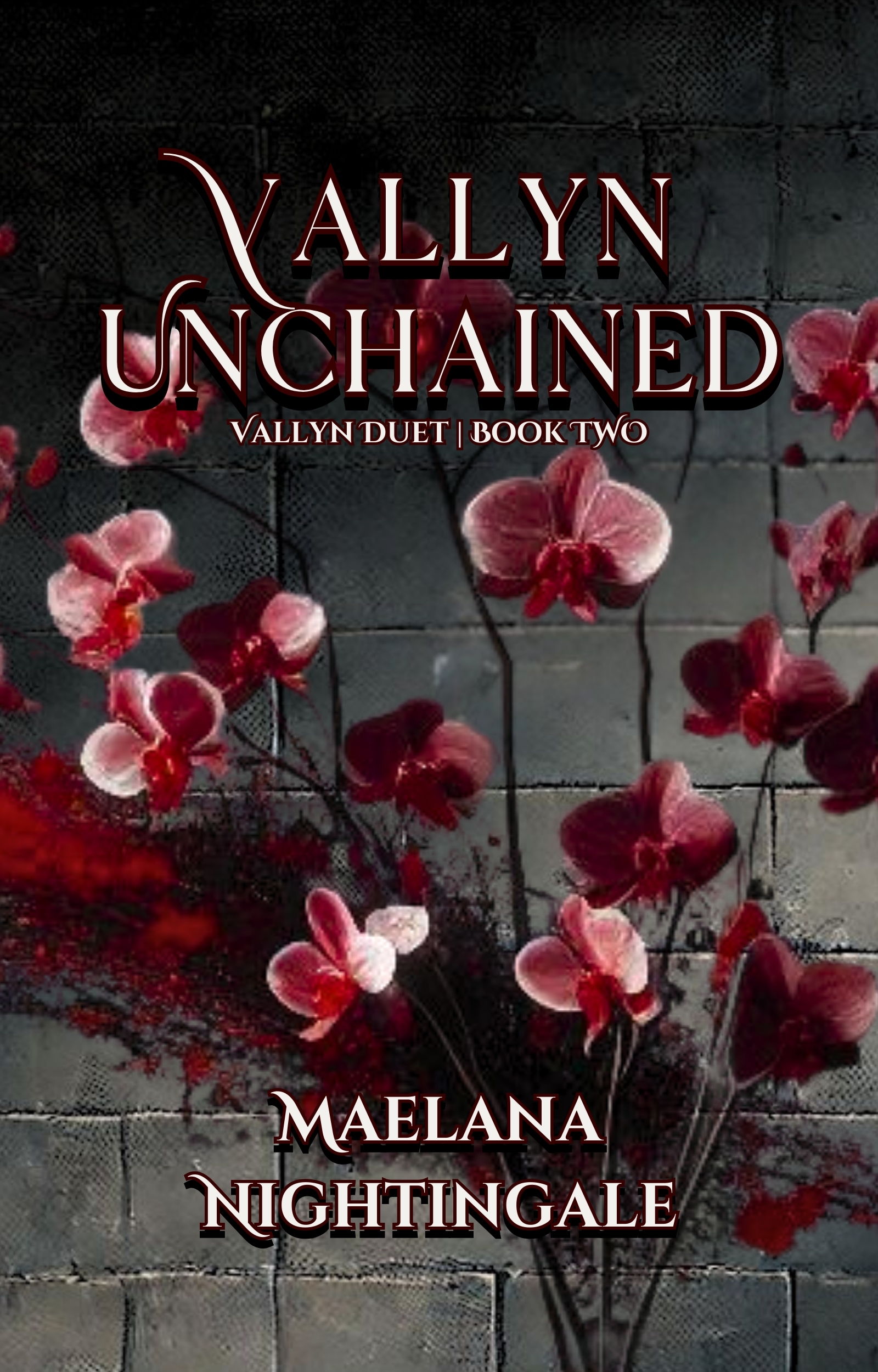 Vallyn Unchained: Vallyn Duet | Book Two