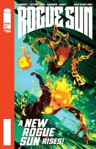 Rogue Sun #25 book cover
