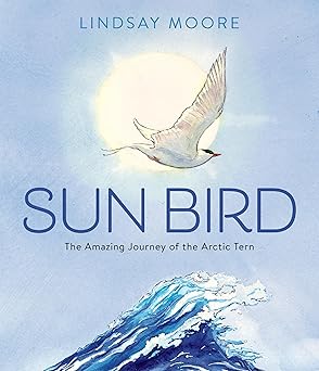Sun Bird: The Amazing Journey of the Arctic Tern by Lindsay
