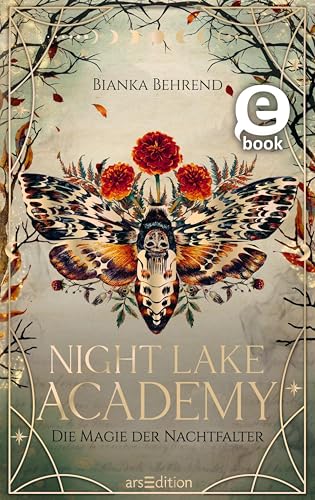 Night Lake Academy book cover 1