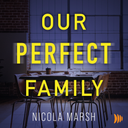 Our Perfect Family book cover