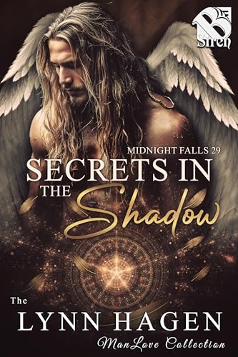 Secrets in the Shadow book cover