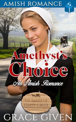 Amethyst's Choice book cover