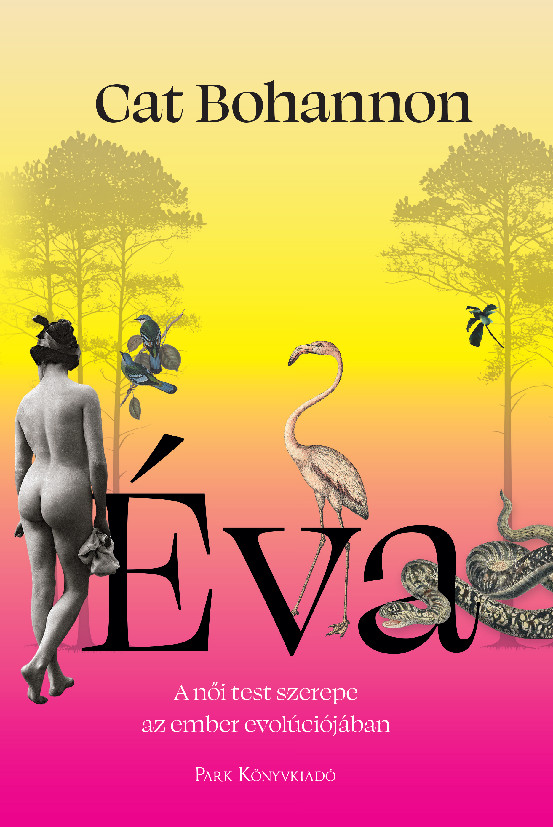 Eva: A női test szerepe az ember evolúciójában