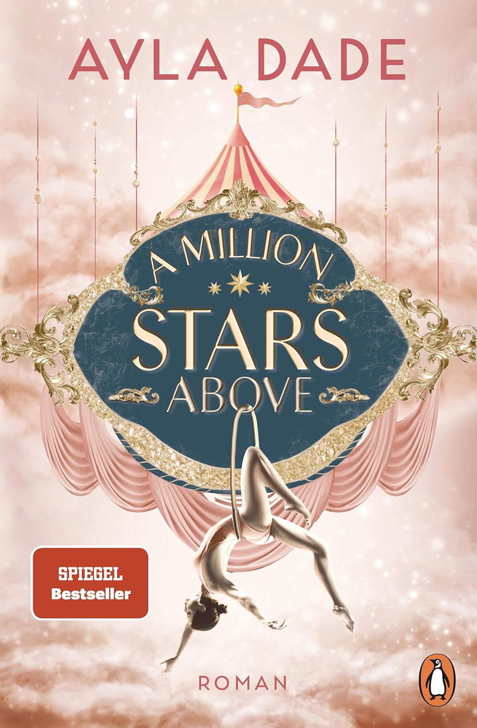 Sky Circus book cover 1