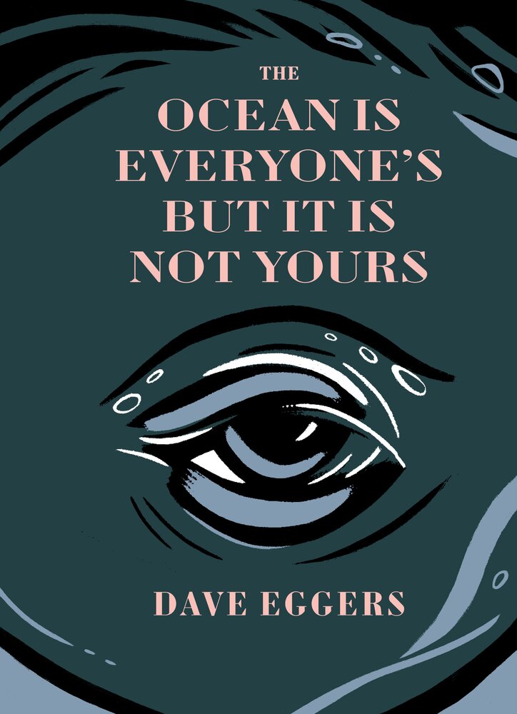 The Ocean is Everyone's But It Is Not Yours book cover