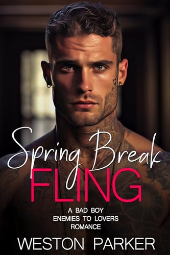 Spring Break Fling book cover