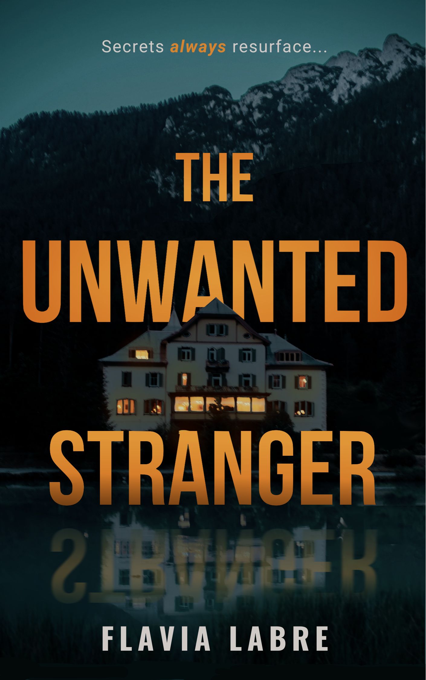 The Unwanted Stranger : A gripping psychological thriller with a shocking twist
