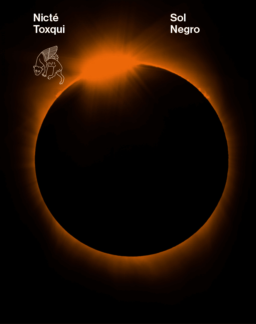 Sol negro