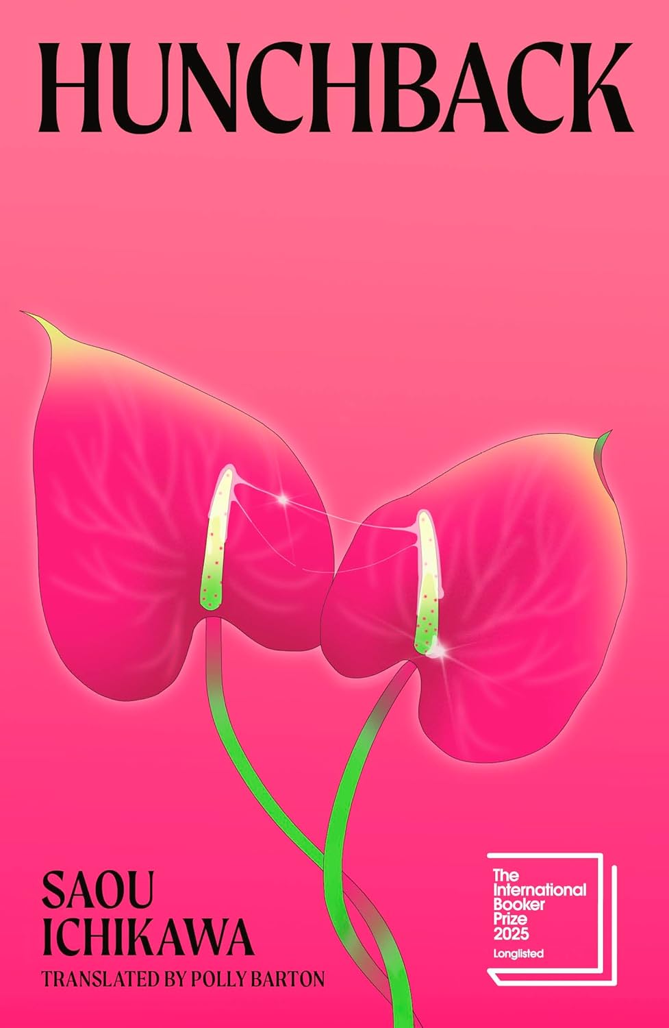 Hunchback book cover