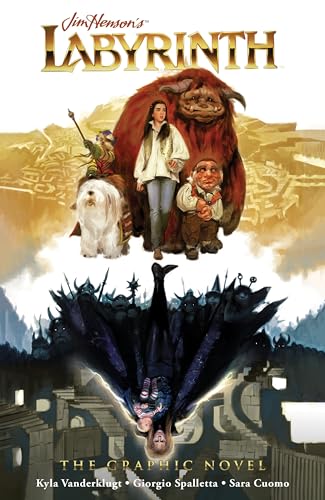 Labyrinth book cover