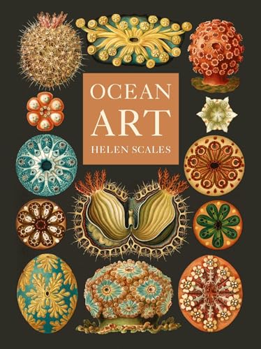 Ocean Art book cover