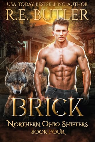 Brick book cover