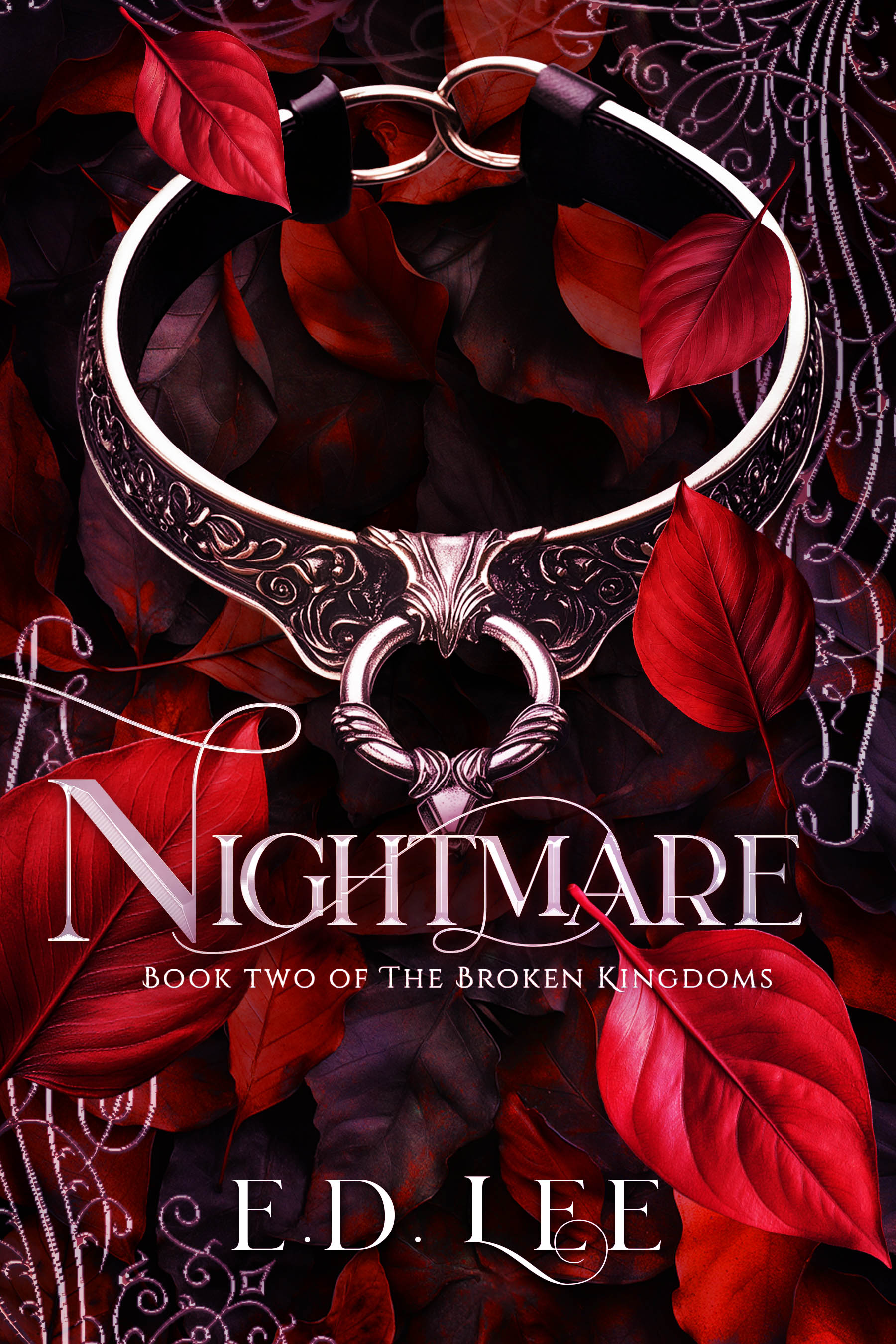Nightmare: Book Two of the Broken Kingdoms Books