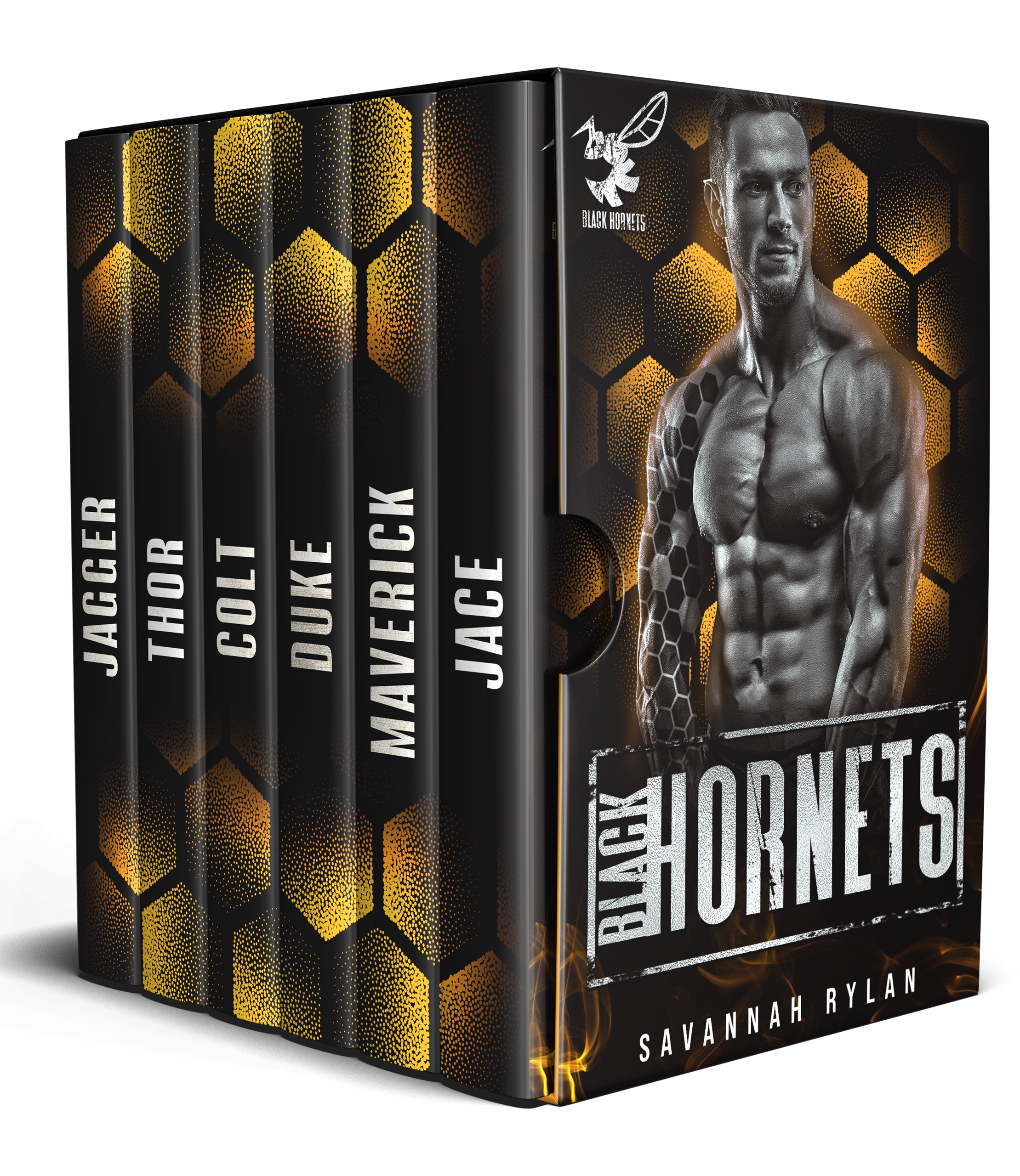 The Black Hornets MC Series: Books 1-6