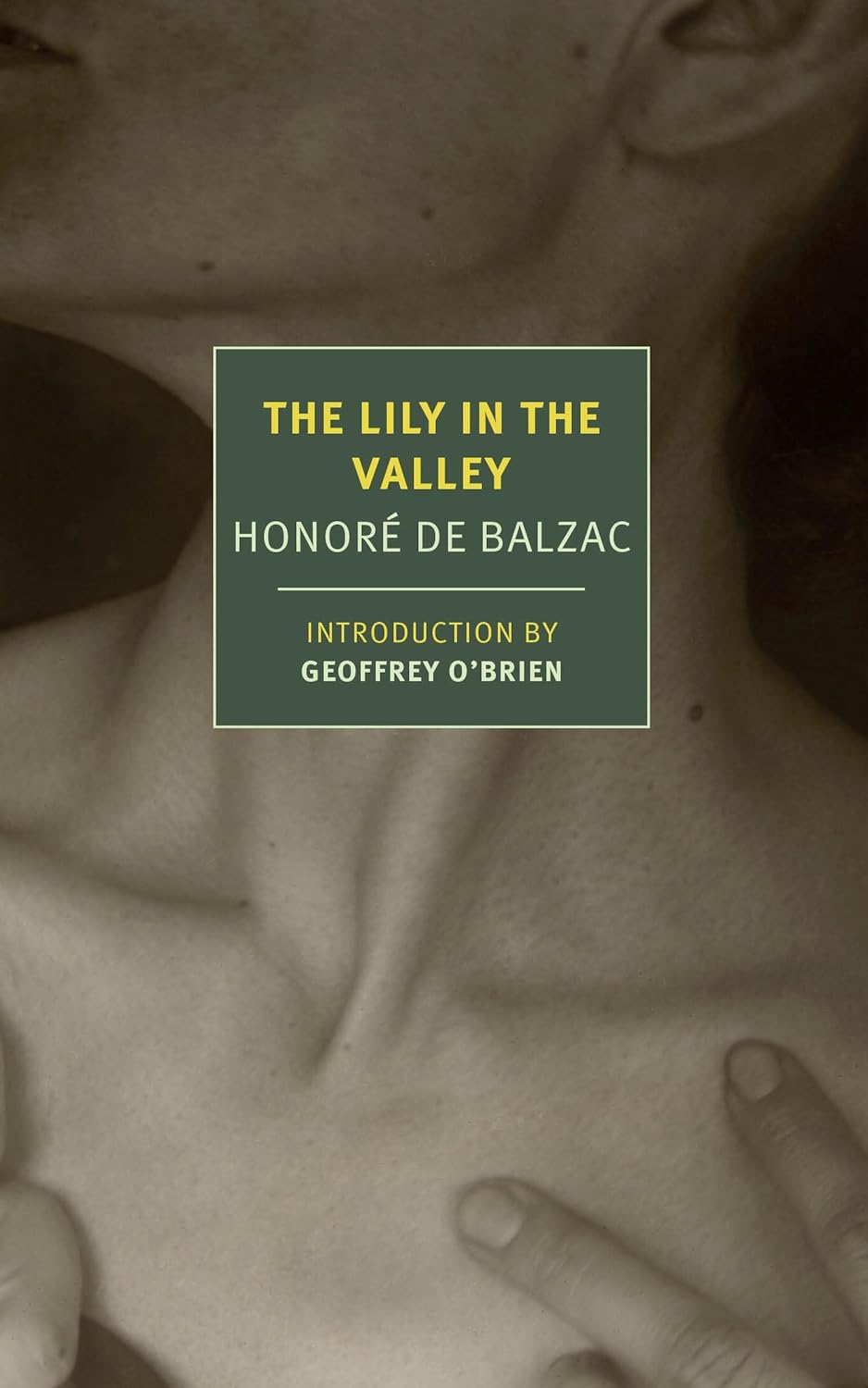 The Lily in the Valley book cover