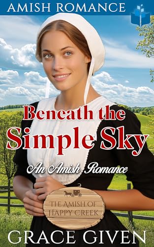 Beneath the Simple Sky book cover