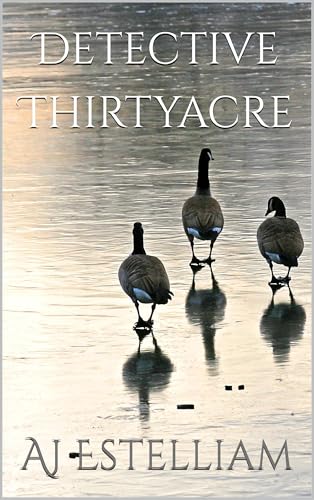 Detective Thirtyacre