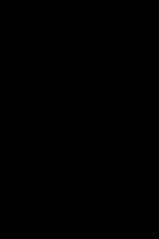 Vznožje